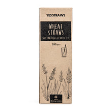 Load image into Gallery viewer, Wheat Straws - Long (Pack of 250)