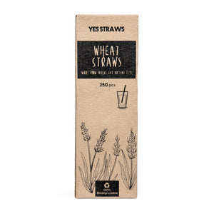 Wheat Straws - Long (Pack of 250)